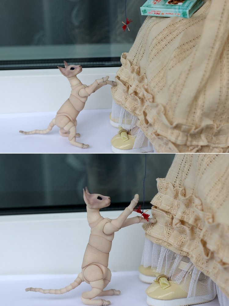 Жизнерадостный Кот и мечтательная Лайла (фото 3)