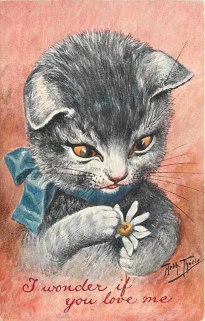 Пекрасное III - коротенько о котиках Merlin (фото 7)