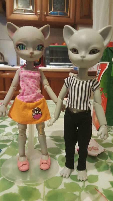 Помогите нарисовать кота — Face