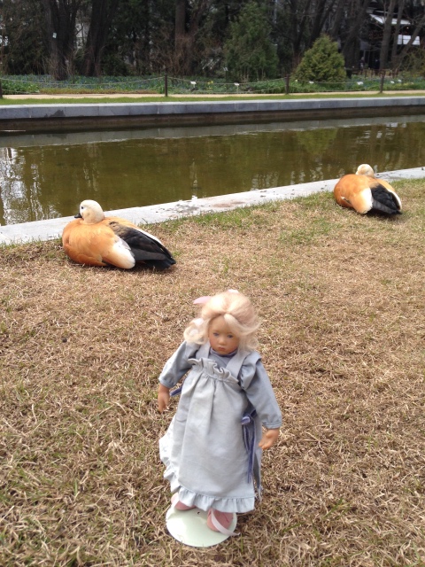 Фотосессия Скилле в Аптекарском огороде. Skille mini club от A. Himstedt