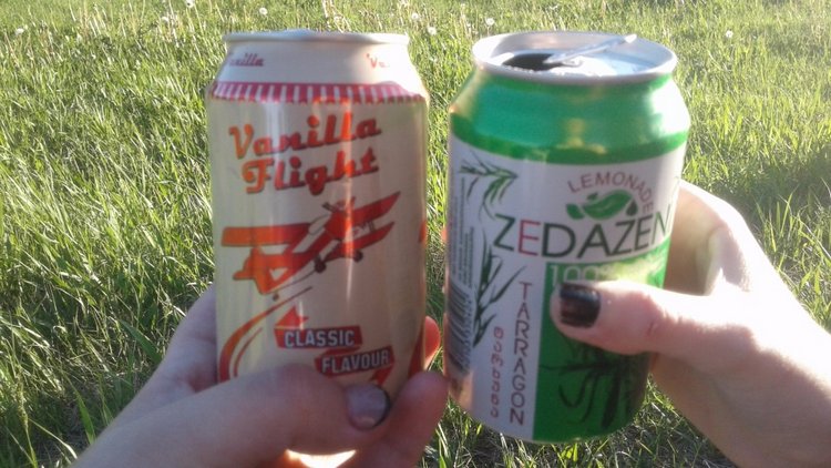 Природа Пскова: из весны в лето