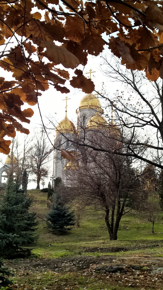 Я не участвую в войне — она участвует во мне