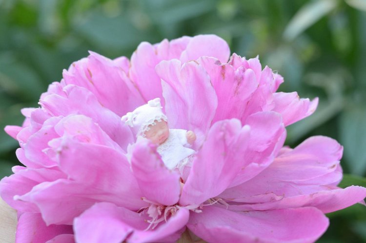 Крошка 4 см в образе Цветочная малышка (фото 4)