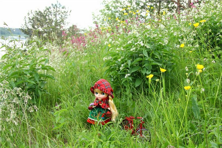 Путешествие в Сказку — Оригинальные куклы Blythe (Блайз): Takara
