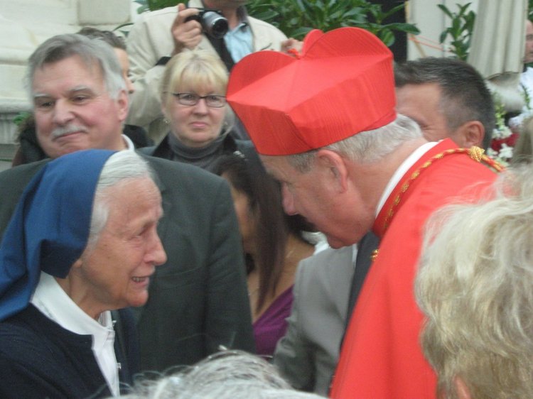 Медвежий флэш-моб – воспоминание о Вене (фото 3)