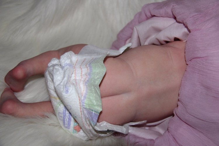 Моя любимая девочка Americus (фото 7)