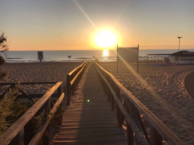 Немного солнечного настроения с Lillemore от A. Himstedt (фото 10)