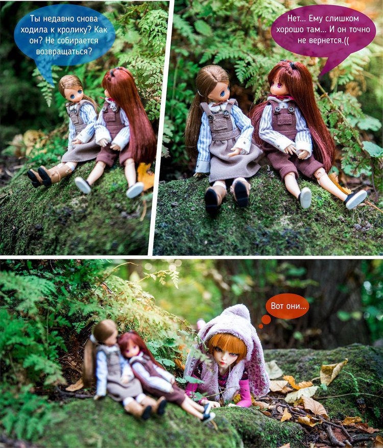 Лисьи приключения: Кролик, или лис - вот в чём вопрос (фото 3)