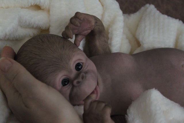 Карамелька кукла-реборн Элины Кудрявцевой (фото 6)