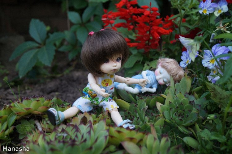 Майка - старшая сестра. Куклы БЖД