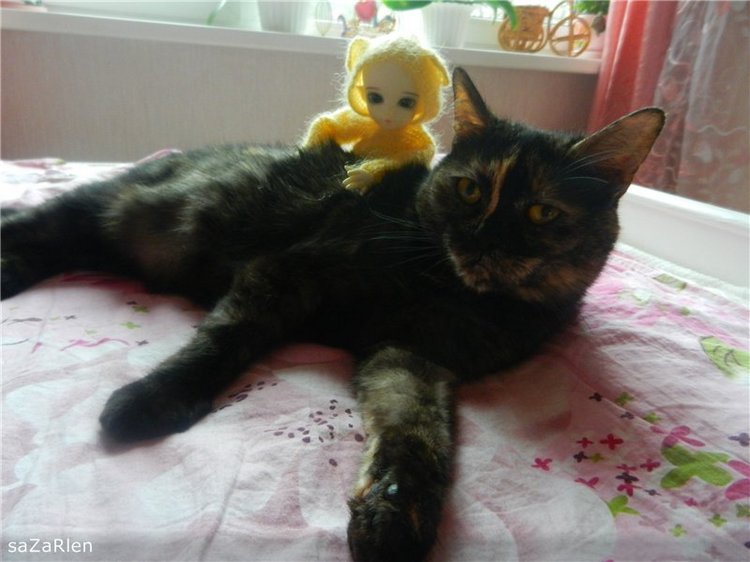 Мои любимые FairyLand(ики) (фото 6)