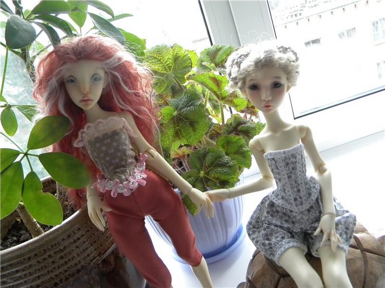 Теперь они вместе. Мои Лилликэтки Constantine и Ninon