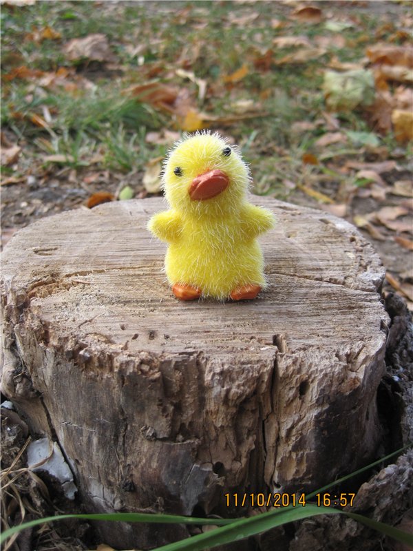 Дружок — Интересные игрушки и фигурки (разное): редкие