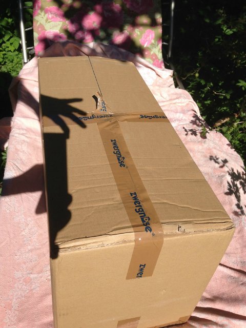 Zwergnase. Anneli. Распаковка и фотосессия (фото 3)