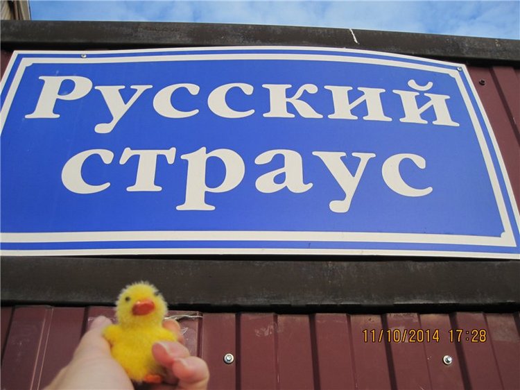 Дружок — Интересные игрушки и фигурки (разное): редкие (фото 3)