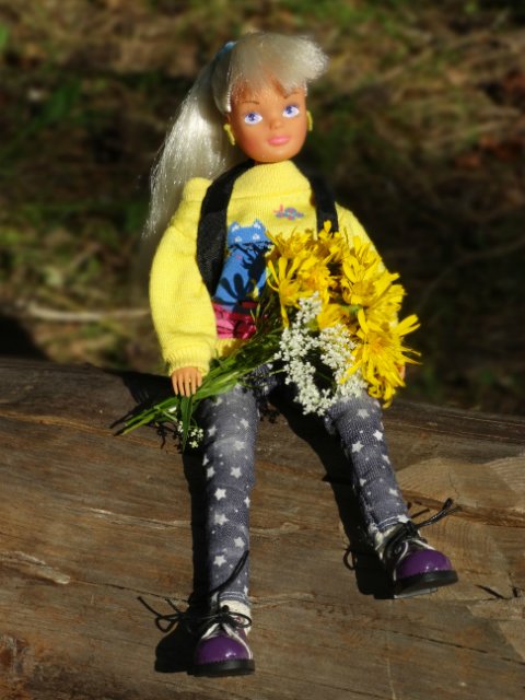 Девочки гуляют — Куклы Sindy (Синди) и Tammy (Тамми): винтаж