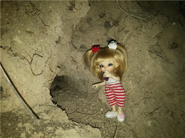 Сибинские озера. Фросенька-эльф высокогорный. ReaiPuki Pupu