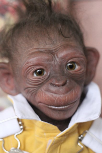 Гога, он же Гоша,он же Гора, он же Жора, здесь проживает? кукла реборн Элины Кудрявцевой (фото 9)