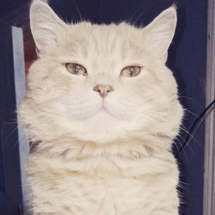 Те, кто нас любит и в домашнем халате, и без косметики, и растрепанными | Бэйбики Те, кто нас любит и в домашнем халате, и без косметики, и растрепанными