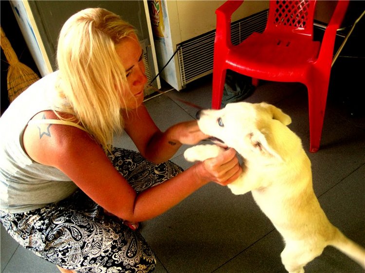 Лето. Солнце. Море. Всё смешалось - звери, куклы. Часть2 | Бэйбики Лето. Солнце. Море. Всё смешалось - звери, куклы. Часть2