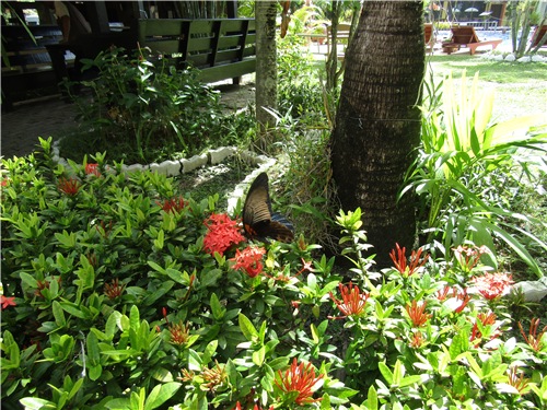 Тайланд Вам рад - на чудеса богат