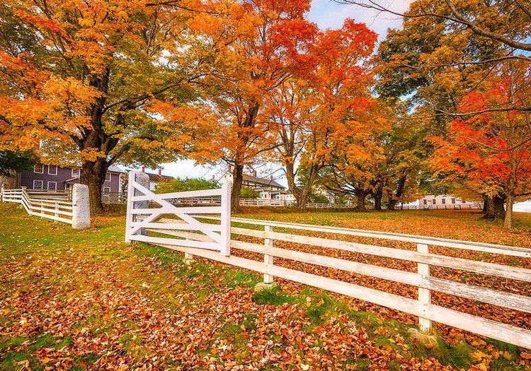 Красотка-осень — Болталка и разговоры обо всем: жизнь