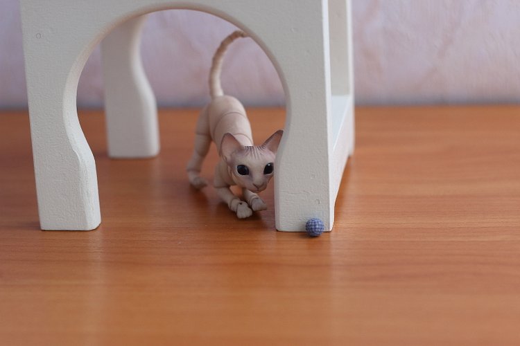 Кот играет с мячиком — Разные куклы BJD (БЖД): редкие бренды