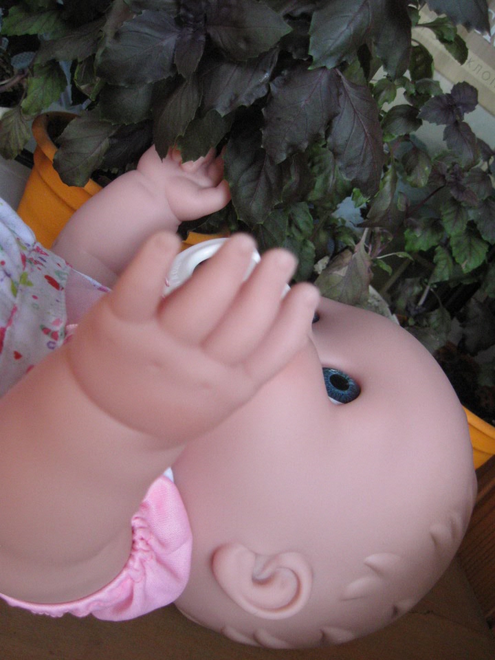 Глазастик и другие куколки