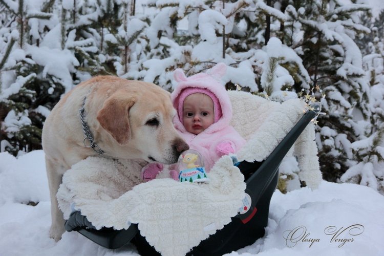 Моя Хлоя, мой любознательный Совенок, кукла реборн Олеси Венгер