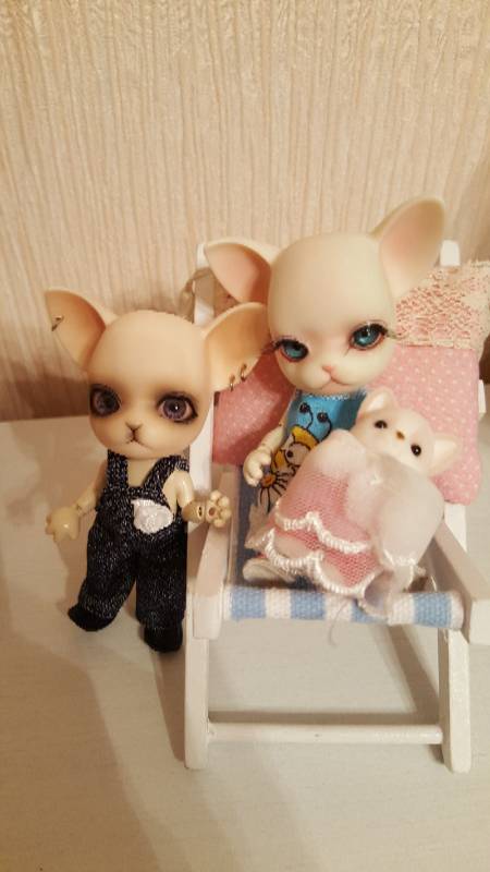 Куда пропали Панги — Куклы Ai Doll и Pangju (Панджу): Tiny BJD (БЖД)