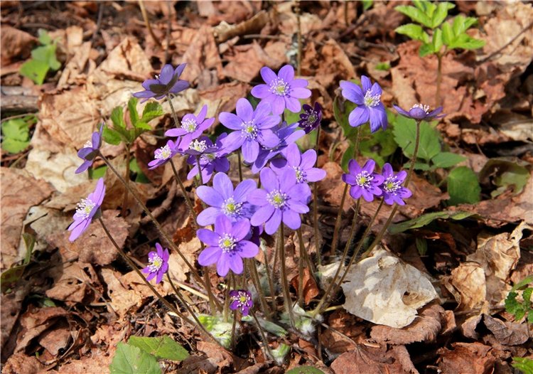 Весенняя прогулка в Старице