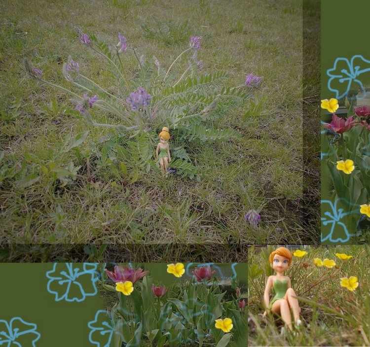 Майские... Городские зарисовки (фото 3)