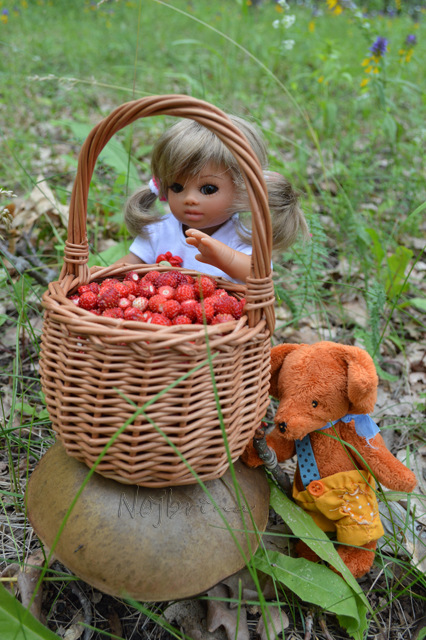Самый маленький турист. Линда и Среда
