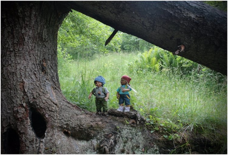 Как мы горы покоряли — Куклы Rosemarie Anna Muller (Мюллер): Вихтели (Wichtel)