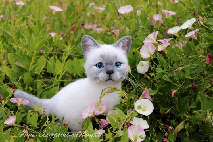 На прогулке — Валяные игрушки из шерсти: сухое валяние (фото 8)