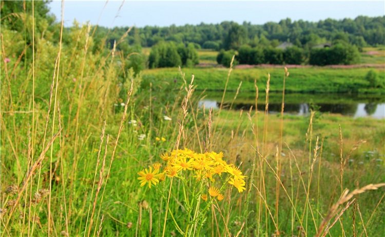 Тверской Водопад — Туризм и путешествия: фотоотчеты из поездок