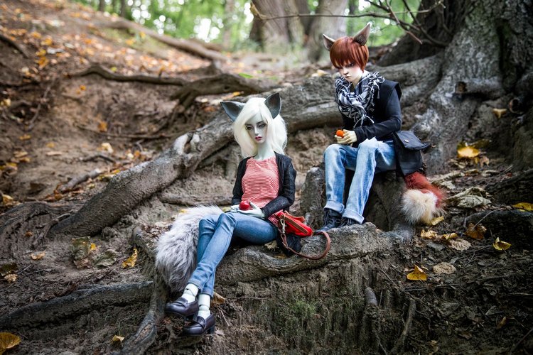 Лисьи приключения: Кролик, или лис - вот в чём вопрос