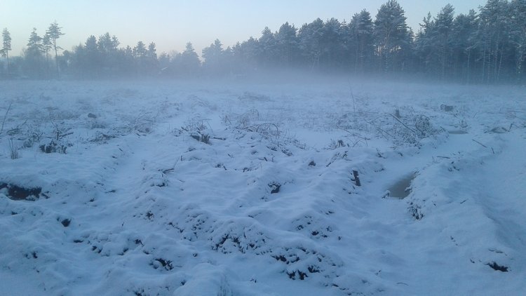 Зимнее солнце. Глава 27. Досуг