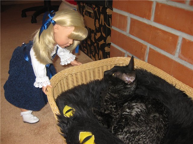 Золотая осень. Кукла Готц Симочка знакомится с Россией