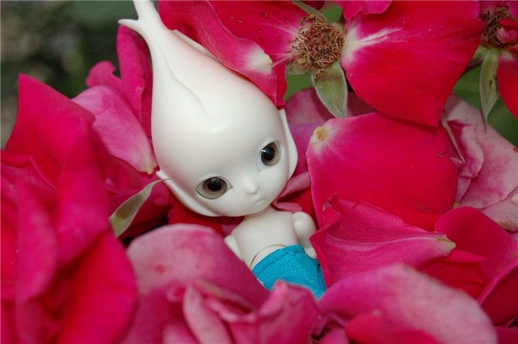 Прогулка по саду Doll zone