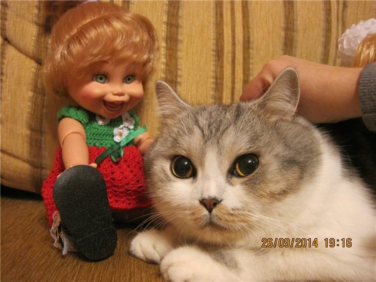 Малышка Сьюзи. Очаровательная куколка Galoob baby face