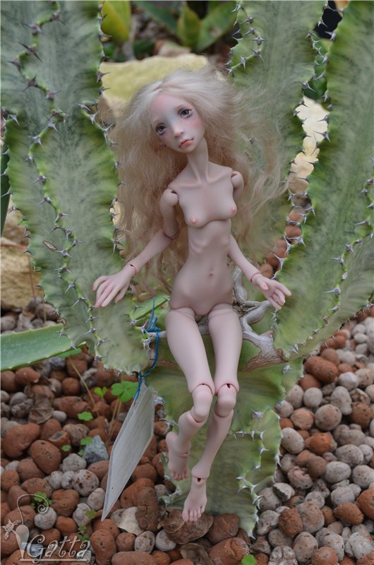 В Саду. Феникс, Лида Снуль (фото 4)