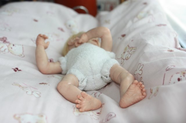 ООАК августа. Мы просыпаемся