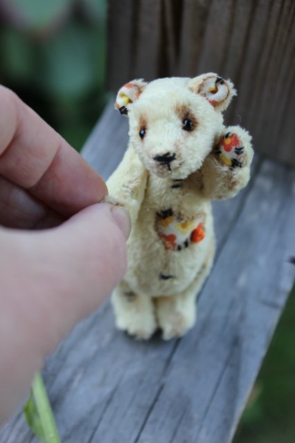 Летний карманный мишка тедди (фото 9)