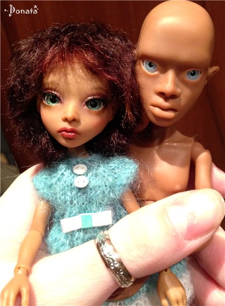 Амигатомания набирает обороты (фото 3)