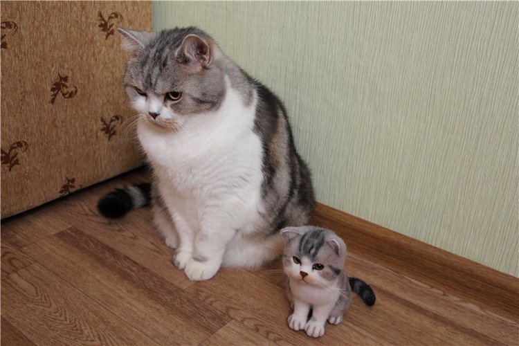 Котик Дени. Авторская игрушка Анны Ястрежембовской