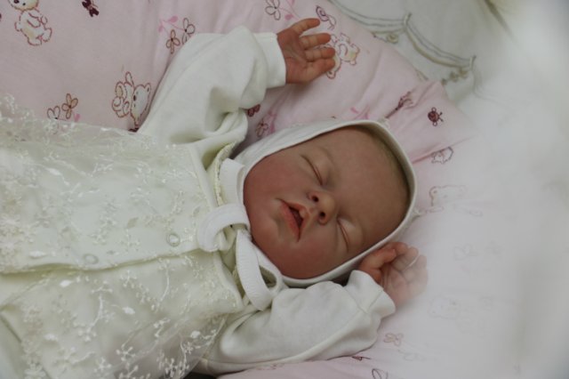 Ноашечка. Куколка реборн Виктории Вишни