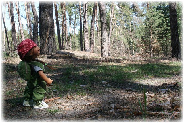 Небольшой поход Вихтелят на Ирдынские болота