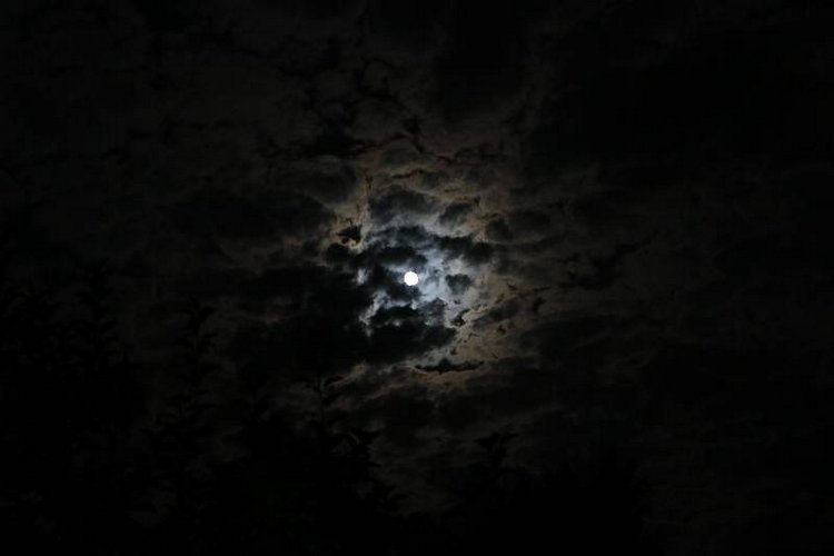 Те, кто нас любит и в домашнем халате, и без косметики, и растрепанными | Бэйбики Те, кто нас любит и в домашнем халате, и без косметики, и растрепанными