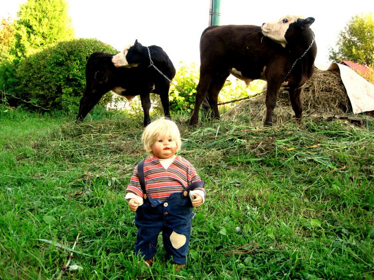 Выходные в деревне. Эдер - коллекционна кукла Susi Eimer (фото 6)